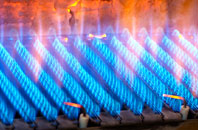 Winsor gas fired boilers