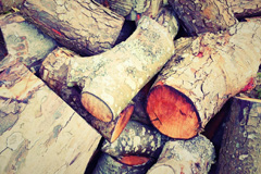 Winsor wood burning boiler costs